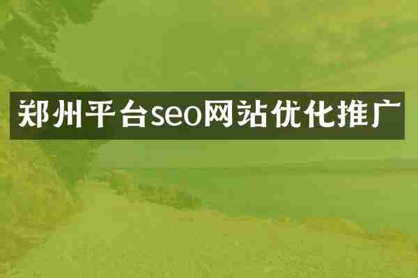 郑州平台seo网站优化推广