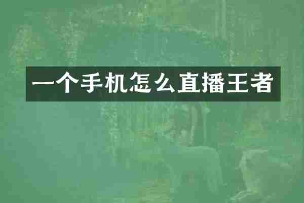 一个手机怎么直播王者
