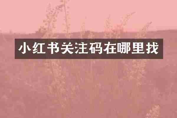 小红书关注码在哪里找