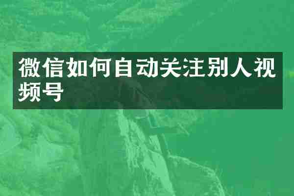 微信如何自动关注别人视频号
