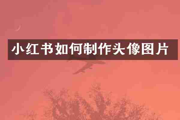 小红书如何制作头像图片