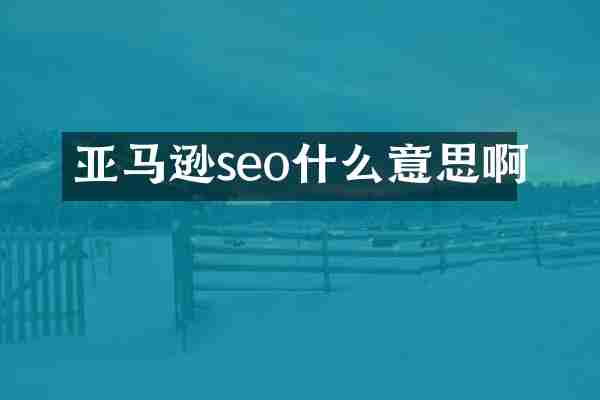 亚马逊seo什么意思啊