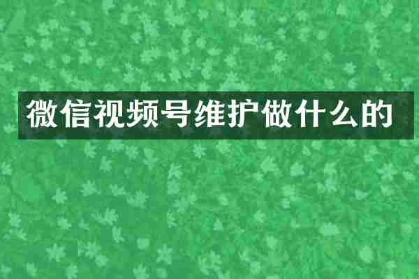 微信视频号维护做什么的