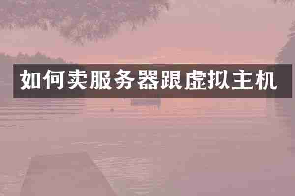 如何卖服务器跟虚拟主机