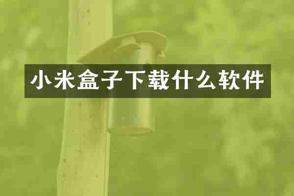 小米盒子下载什么软件
