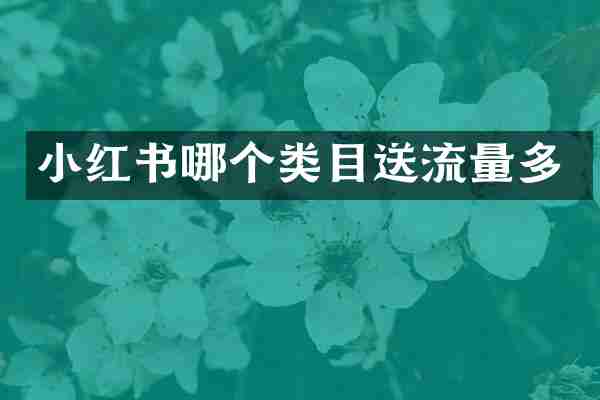 小红书哪个类目送流量多