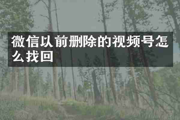 微信以前删除的视频号怎么找回