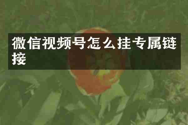 微信视频号怎么挂专属链接