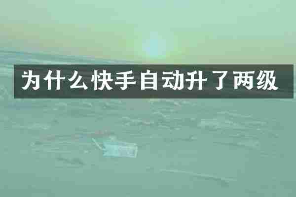 为什么快手自动升了两级