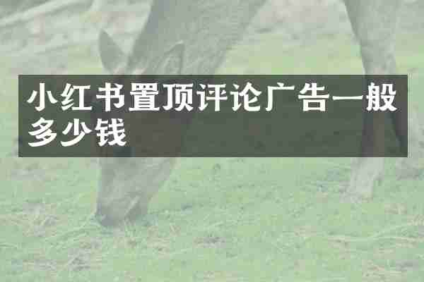 小红书置顶评论广告一般多少钱