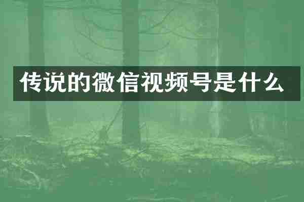 传说的微信视频号是什么