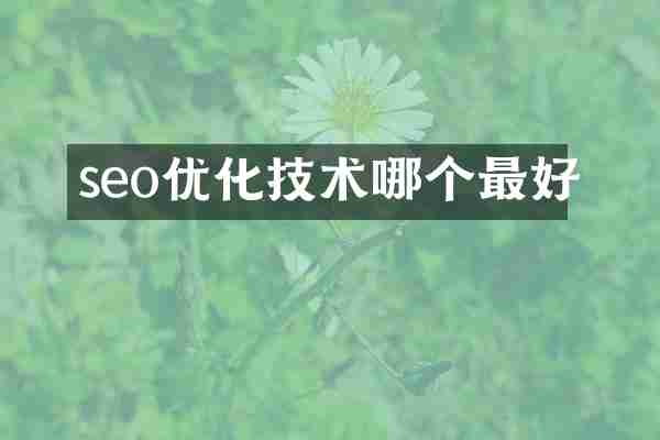 seo优化技术哪个最好