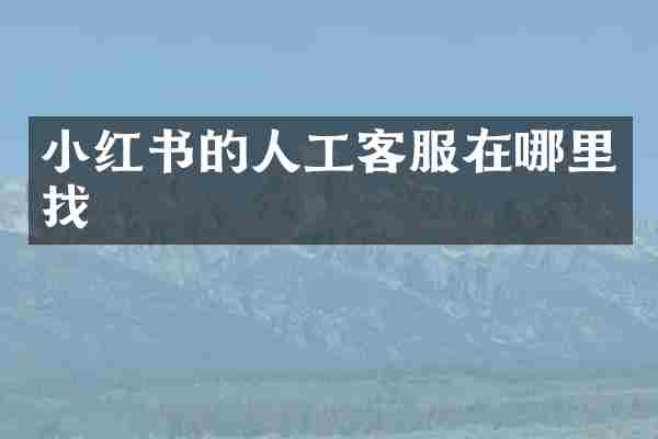 小红书的人工客服在哪里找
