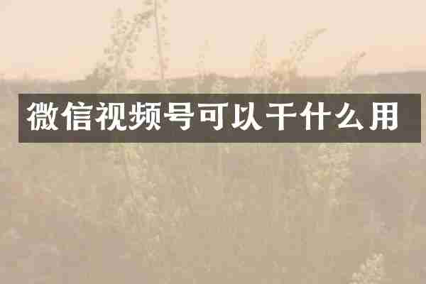 微信视频号可以干什么用
