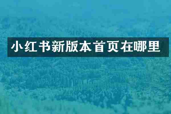 小红书新版本首页在哪里