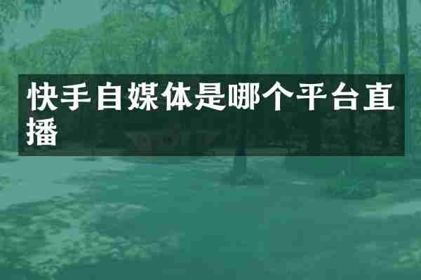 快手自媒体是哪个平台直播