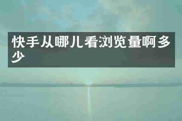 快手从哪儿看浏览量啊多少