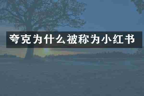 夸克为什么被称为小红书