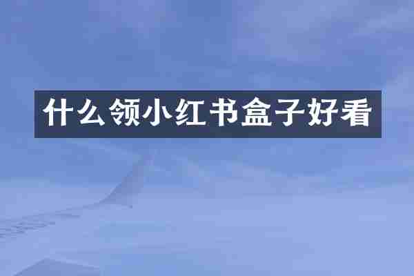 什么领小红书盒子好看
