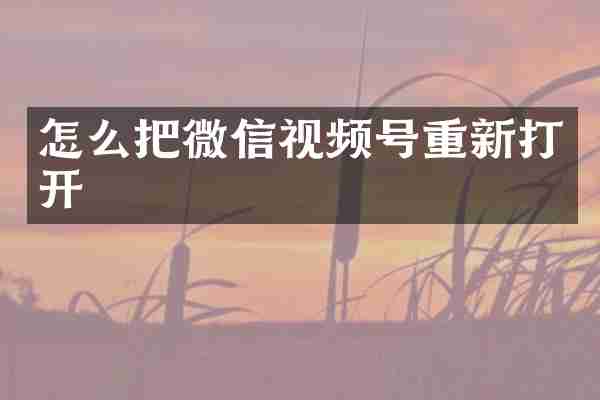 怎么把微信视频号重新打开