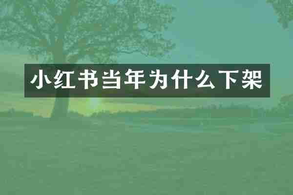 小红书当年为什么下架