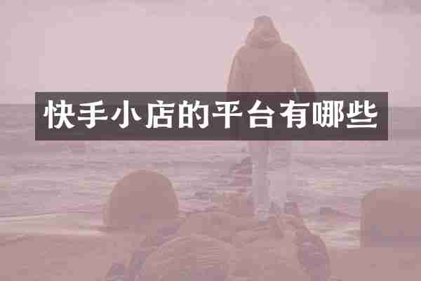 快手小店的平台有哪些