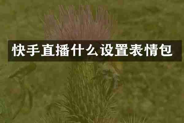快手直播什么设置表情包