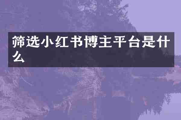 筛选小红书博主平台是什么