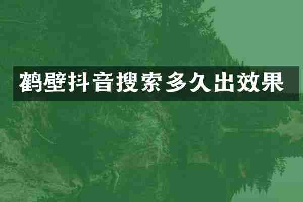 鹤壁抖音搜索多久出效果