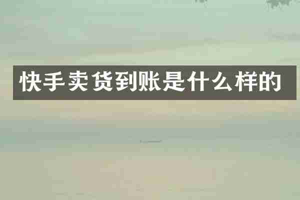 快手卖货到账是什么样的
