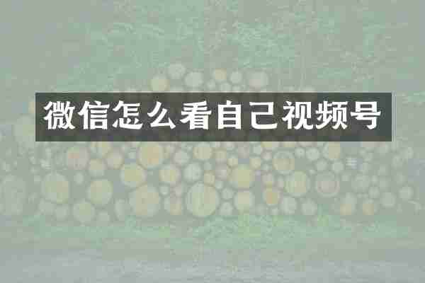微信怎么看自己视频号
