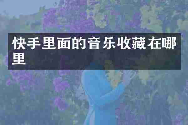 快手里面的音乐收藏在哪里