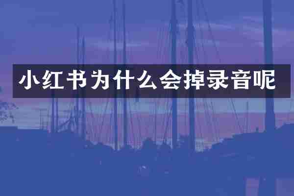 小红书为什么会掉录音呢