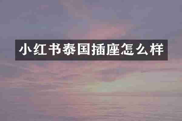 小红书泰国插座怎么样