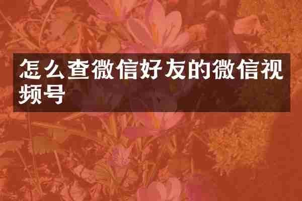 怎么查微信好友的微信视频号