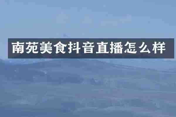 南苑美食抖音直播怎么样