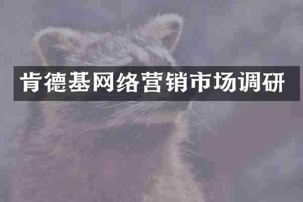 肯德基网络营销市场调研