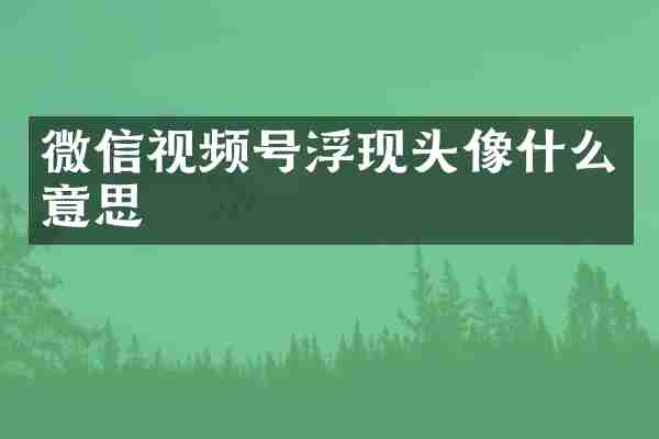 微信视频号浮现头像什么意思