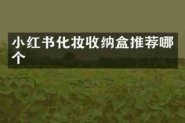 小红书化妆收纳盒推荐哪个
