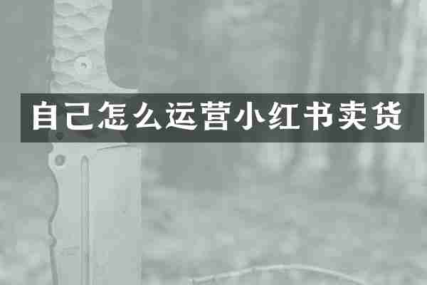 自己怎么运营小红书卖货