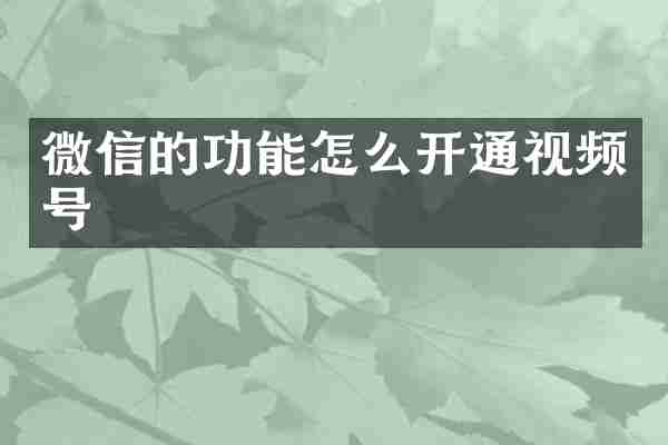 微信的功能怎么开通视频号