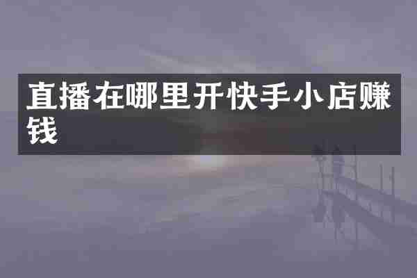 直播在哪里开快手小店赚钱
