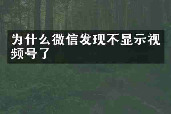 为什么微信发现不显示视频号了
