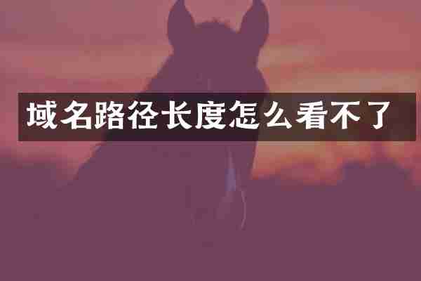 域名路径长度怎么看不了