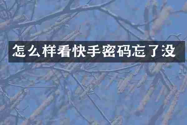 怎么样看快手密码忘了没