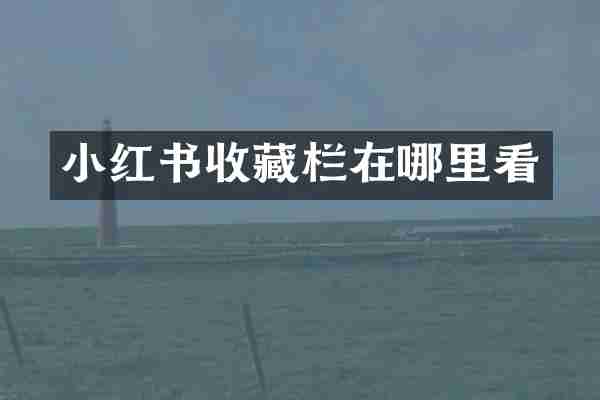 小红书收藏栏在哪里看