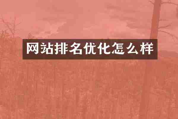 网站排名优化怎么样