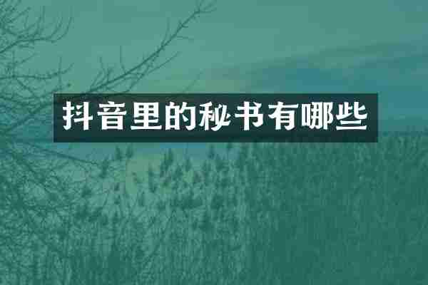 抖音里的秘书有哪些