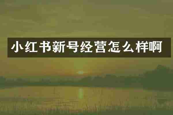 小红书新号经营怎么样啊