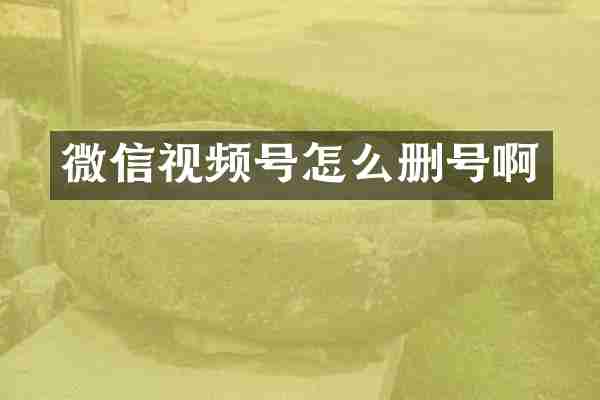 微信视频号怎么删号啊